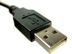 350_USB Homework Help